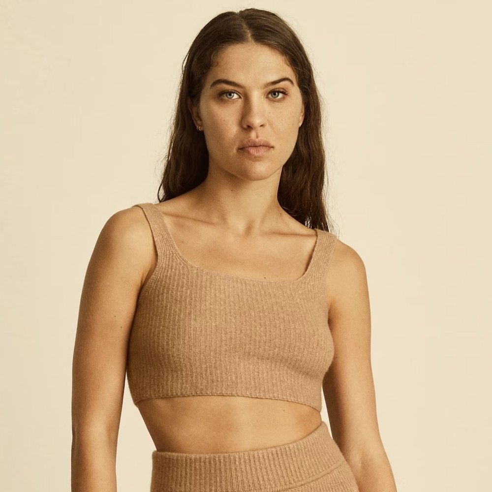 Everlane Scoop Neck Crop Sweater Top in Tan